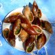 93- Degustation de bulimes, escargot endemique de l'Ile des Pins 